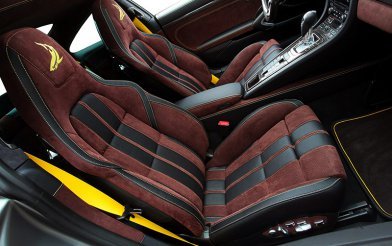 Porsche 911 TopCar Stinger GTR Felix Ferro (991.2)