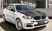 BMW X6 M Hamann Widebody (F86)