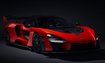 McLaren Senna (P15)